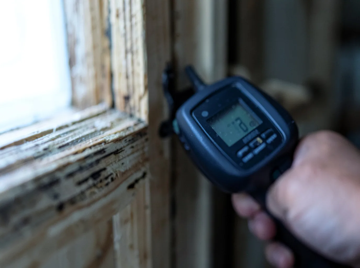 Moisture Inspection And Documentation in Osceola, WI